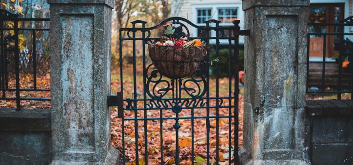 Wrought iron fence and gate painting